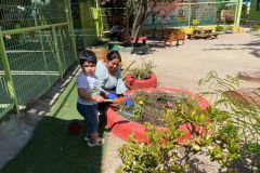 Semana-del-Amor-reina-de-la-paz-fundacion-sscc-de-benificencia-Sagrados-Corazones19